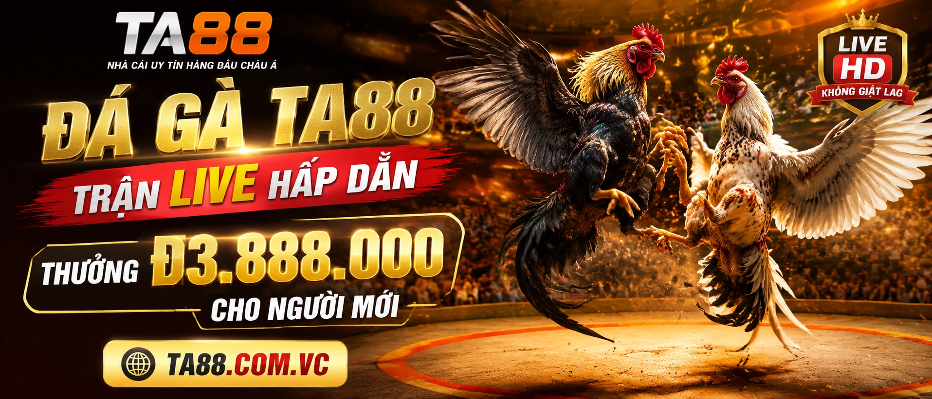 Đá Gà trực tiếp với luồng xem nhanh