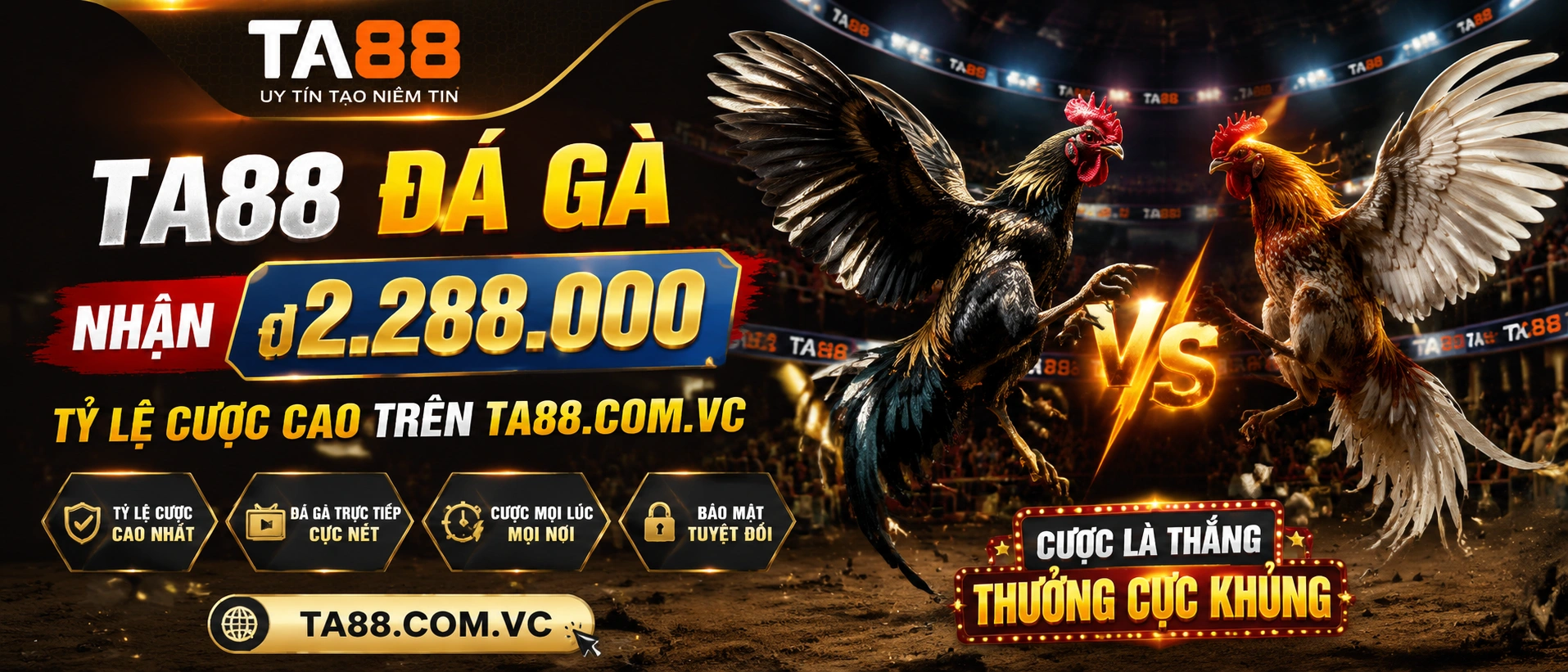Đá Gà Campuchia trong khu nội dung nổi bật