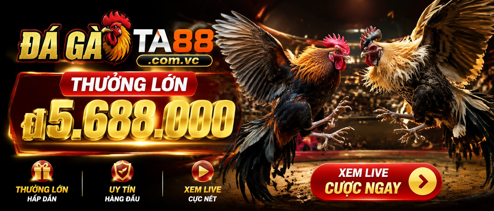 Đá Gà Cựa Sắt với giao diện mobile nhẹ